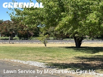 Landscaping In Elk Grove,95624,Landscaping Maintenance by Mojica Lawn Care Llc, work completed in Jun , 2026