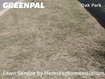 Lawn Mow nearby San Diego, CA, 