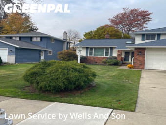 Yard Care in Mayfield Heights, 44124, Lawn Maintenance by Wells And Son, work completed in Nov , 2025