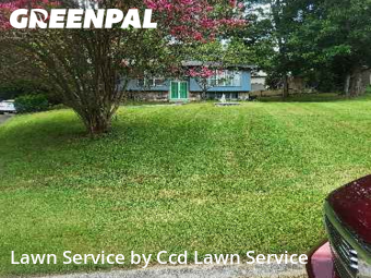 Lawn Cut nearby Knoxville, NC, 