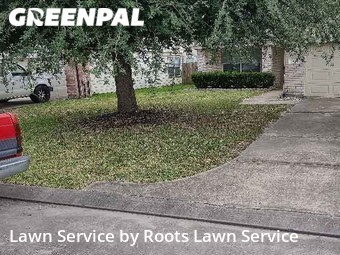 Grass Cut nearby Houston, TX, 