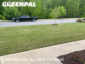 Lawn Mowing nearby Holly Springs, NC, 