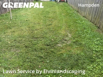 Lawn Care nearby Baltimore, MD, 