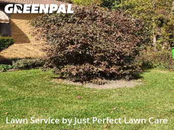 Lawn Care in Berea, 44017, Grass Cutting by Just Perfect Lawn Care, work completed in Dec , 2025