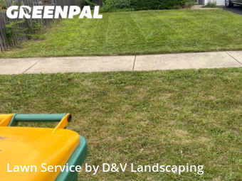 Yard Cutting nearby Romeoville, IL, 