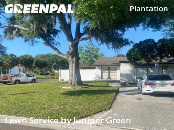 Lawn Maintenance nearby Tampa, FL, 