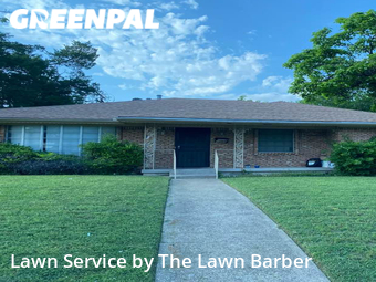 Grass Cut nearby Dallas, TX, 
