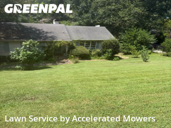 Lawn Upkeep in Mountain Brook, 35213, Lawn Services by Accelerated Mowers , work completed in Nov , 2025