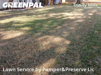 Backyard Mowing in Carrollton, 75006, Mowing Services by Pamper&Preserve Llc, work completed in Dec , 2025