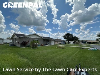 Lawn Cut nearby Lakeland, FL, 