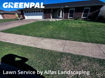 Lawn Cuttingin The Colony,75056,Grass Cutting by Alfas Landscaping, work completed in Jan , 2026