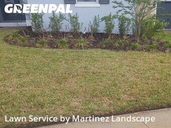 Lawn Service nearby Minneola, FL, 