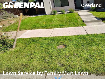 Grass Cut nearby Denver, CO, 