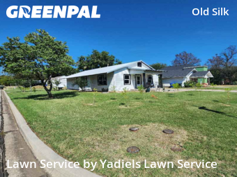 Grass Cutin Norman,73069,Grass Cutting by Yadiels Lawn Service, work completed in Nov , 2025