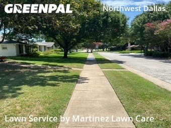 Yard Cutting nearby Dallas, TX, 