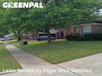 Lawn Mow nearby Wylie, TX, 