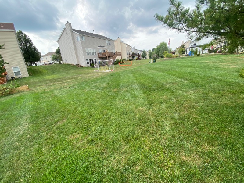 affordable-landscaping-maintenance-services-in-St Joseph-MO