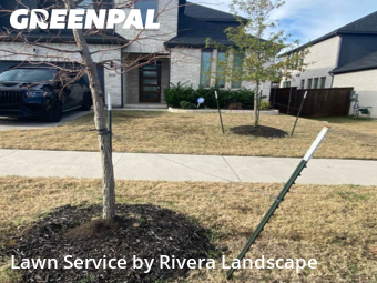 Lawn Mow nearby Frisco, TX, 