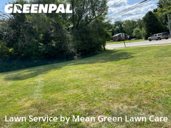 Grass Cutting nearby Raytown, MO, 