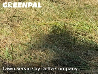 Lawn Mowing Service nearby Bowling Green, KY, 