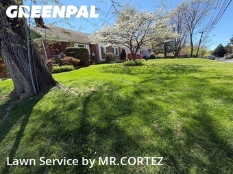 Grass Cutting nearby Silver Spring, MD, 