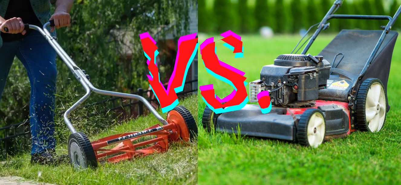 Reel Mower vs. Rotary Mowers {Which is best for mowing grass?}