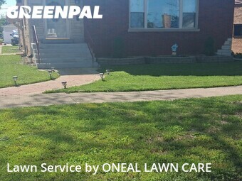 Lawn Mow nearby North Riverside, IL, 