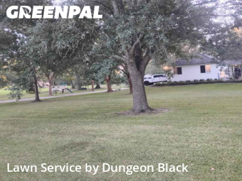 Yard Cutting nearby Prairieville, LA, 