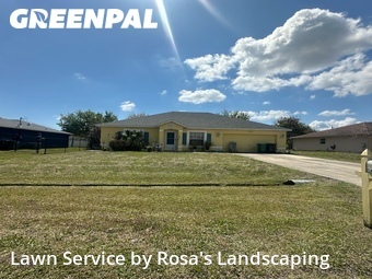 Grass Cut nearby Port St. Lucie, FL, 