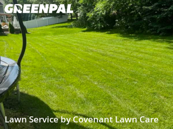 Grass Cut nearby Lakeville, MN, 