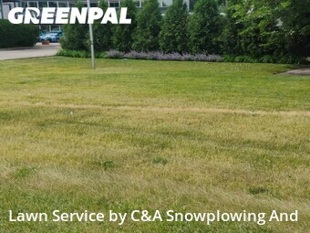 Lawn Maintenance nearby Des Plaines, IL, 