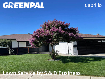 Lawn Care Service nearby Fremont, CA, 