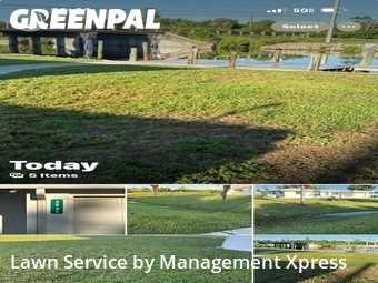 Lawn Service nearby Punta Gorda, FL, 