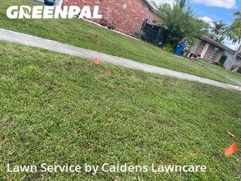 Lawn Carein Sunrise,33323,Grass Cutting by Caidens Lawncare , work completed in Jun , 2026