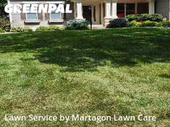 Lawn Cut nearby Woodbury, MN, 