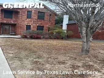 Lawn Servicein Schertz,78154,Lawn Mowing by Texas Lawn Care Serv, work completed in Feb , 2026