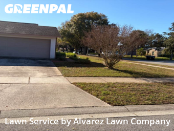 Lawn Mowin Orlando,32817,Grass Cutting by Alvarez Lawn Company, work completed in Dec , 2025