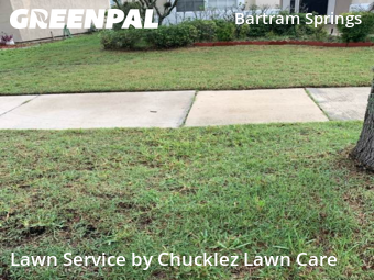 Grass Cut nearby Jacksonville, FL, 