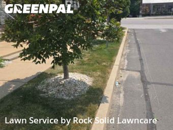 Grass Cuttingin Clayton,63117,Yard Cutting by Rock Solid Lawncare, work completed in Nov , 2025
