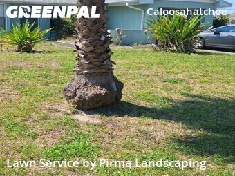 Grass Cut nearby Cape Coral, FL, 