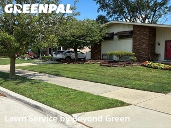 Lawn mowed in Lincoln Park, 48146