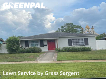Grass Cutting nearby St. Petersburg, FL, 
