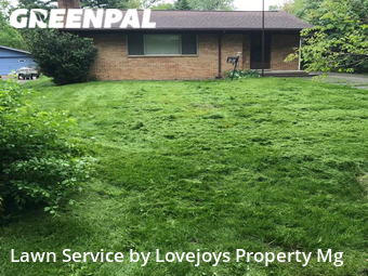 Yard Cutting nearby Ann Arbor, MI, 