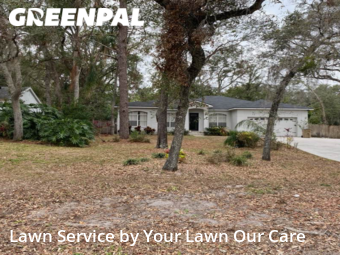 Lawn Mowing nearby Temple Terrace, FL, 