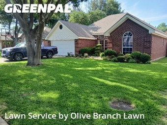 Grass Cut nearby North Richland Hills, TX, 
