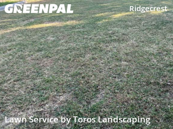 Lawn Cutting nearby Midwest City, OK, 