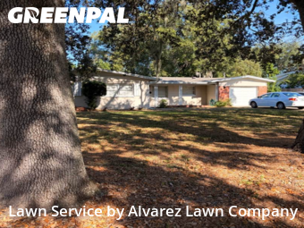 Lawn Mowingin Winter Park,32792,Grass Cutting by Alvarez Lawn Company, work completed in Dec , 2025