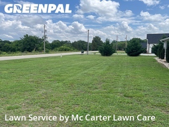 Lawn Cut nearby Campobello, SC, 