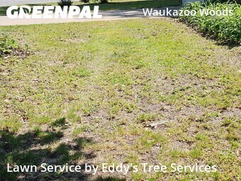 Lawn Mow nearby Holland, MI, 
