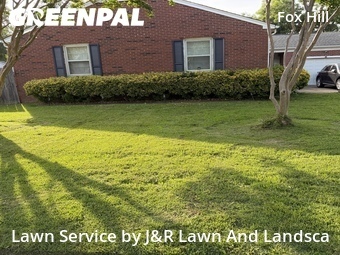 Lawn mowed in Hampton, 23669